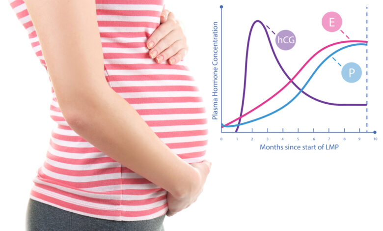 Photo of Read Important Factor of Cryptic Pregnancy