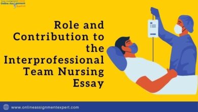 Photo of The Role of Interprofessional Team in Nursing Essay