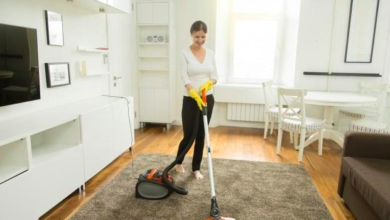 Photo of Carpet Cleaning Professionals and Services