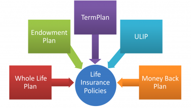 Photo of The 4 Types Of Life Insurance You Need To Consider
