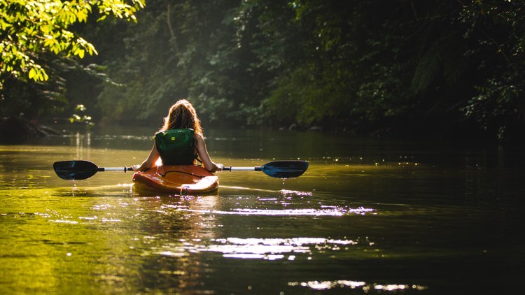 kayaks