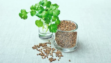 Photo of 8 Surprising Health Benefits Of Coriander