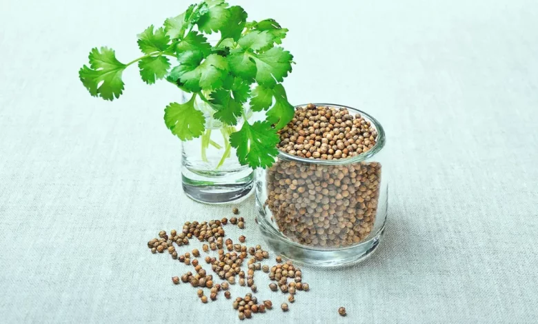 Photo of 8 Surprising Health Benefits Of Coriander