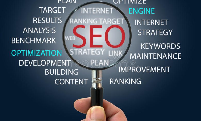 Professional SEO Services